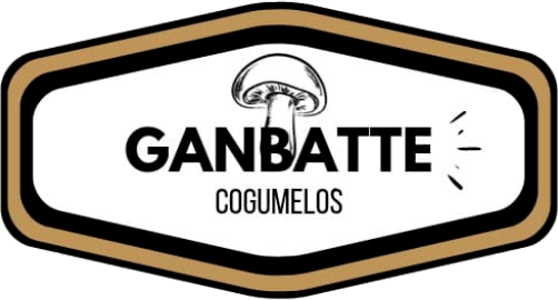 Ganbatte Cogumelos